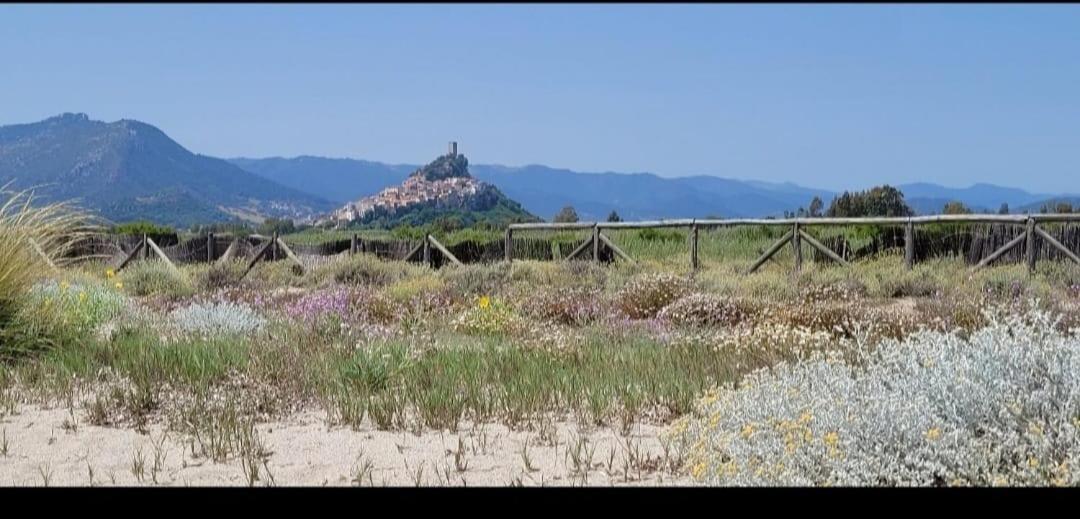 Casa Daniela A 50 M Dalla Spiaggia Villa San Giovanni  Eksteriør billede